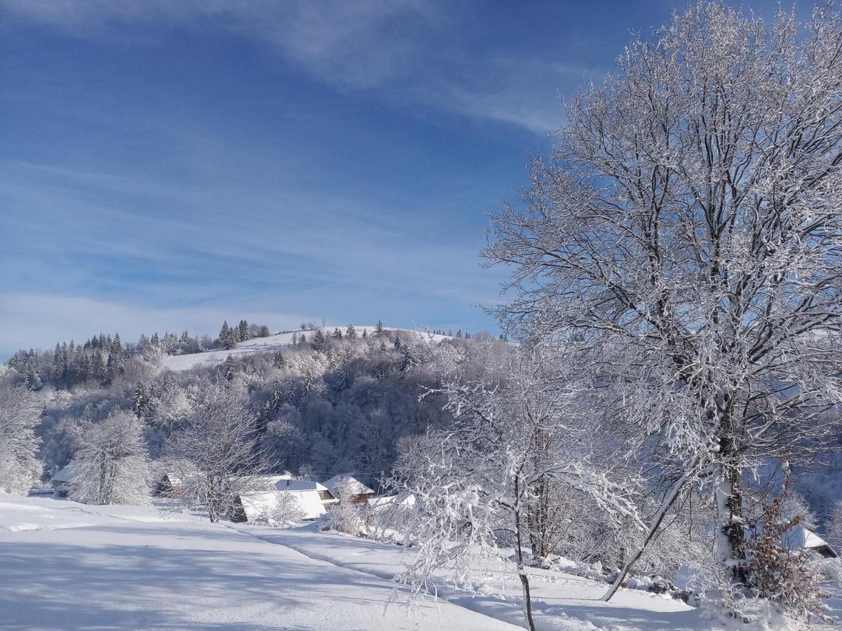 Верховинський Котедж Bukovets Esterno foto