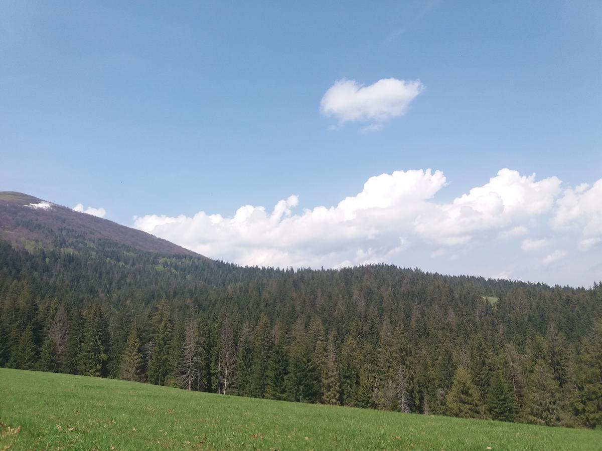 Верховинський Котедж Bukovets Esterno foto