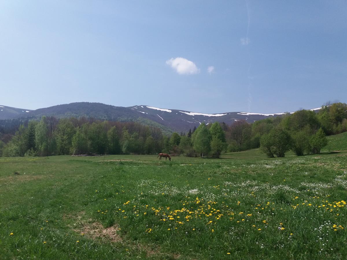 Верховинський Котедж Bukovets Esterno foto