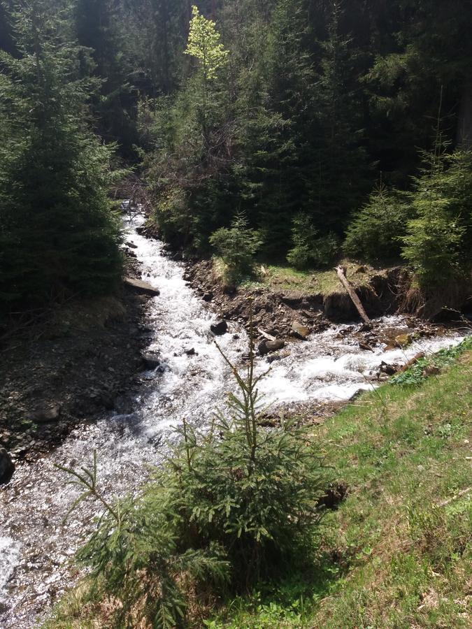 Верховинський Котедж Bukovets Esterno foto