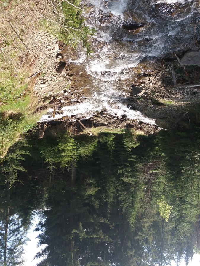 Верховинський Котедж Bukovets Esterno foto