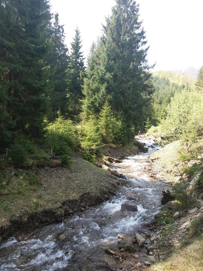 Верховинський Котедж Bukovets Esterno foto